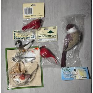 Assorted set of birds for crafts Disgner accents - Nicole